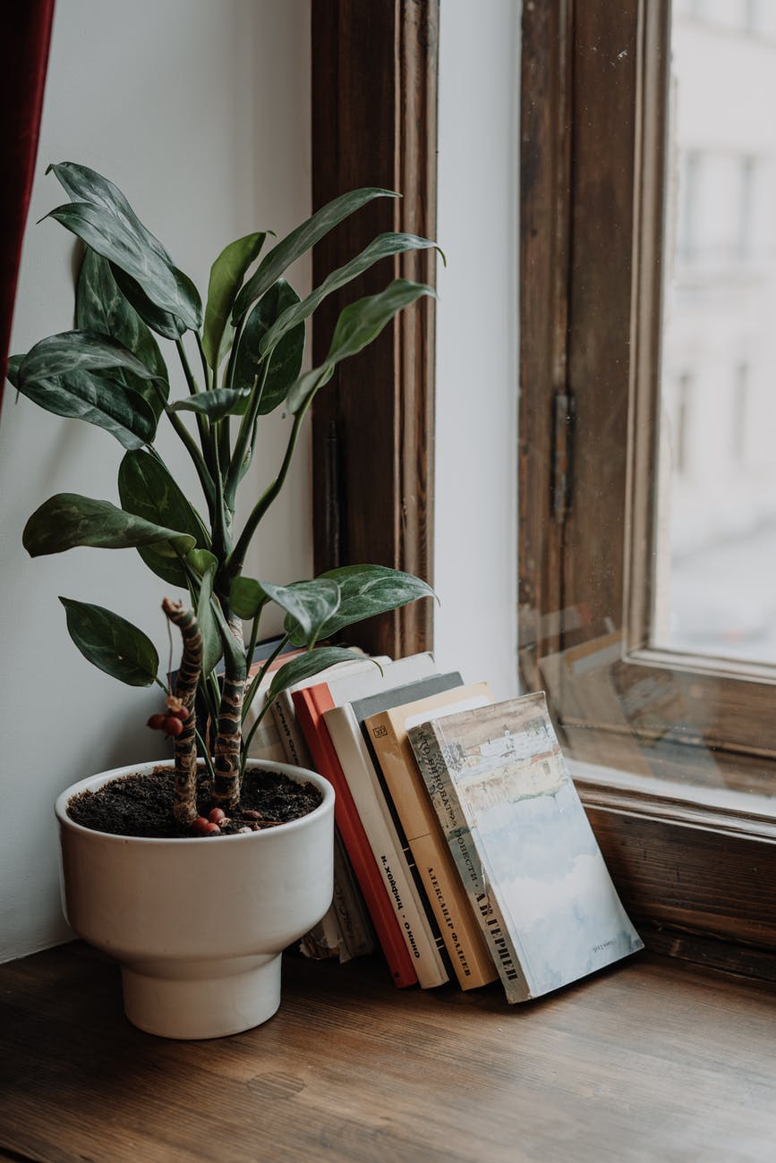 A book coach provides the accountability, constructive feedback, questioning ear, and editorial support that writers NEED to do their best work.